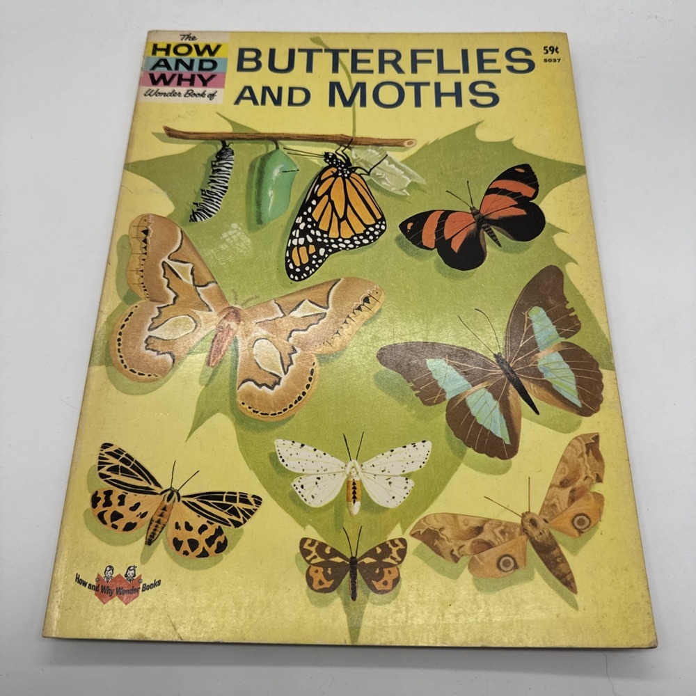How and Why Wonder Book Butterflies and Moths Illustrated Rood Grosset & Dunlap